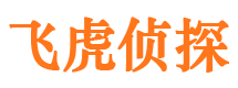 琼山市场调查